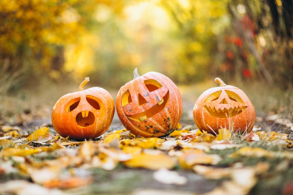 Halloween in the Netherlands: What Expats Need to&nbsp;Know
